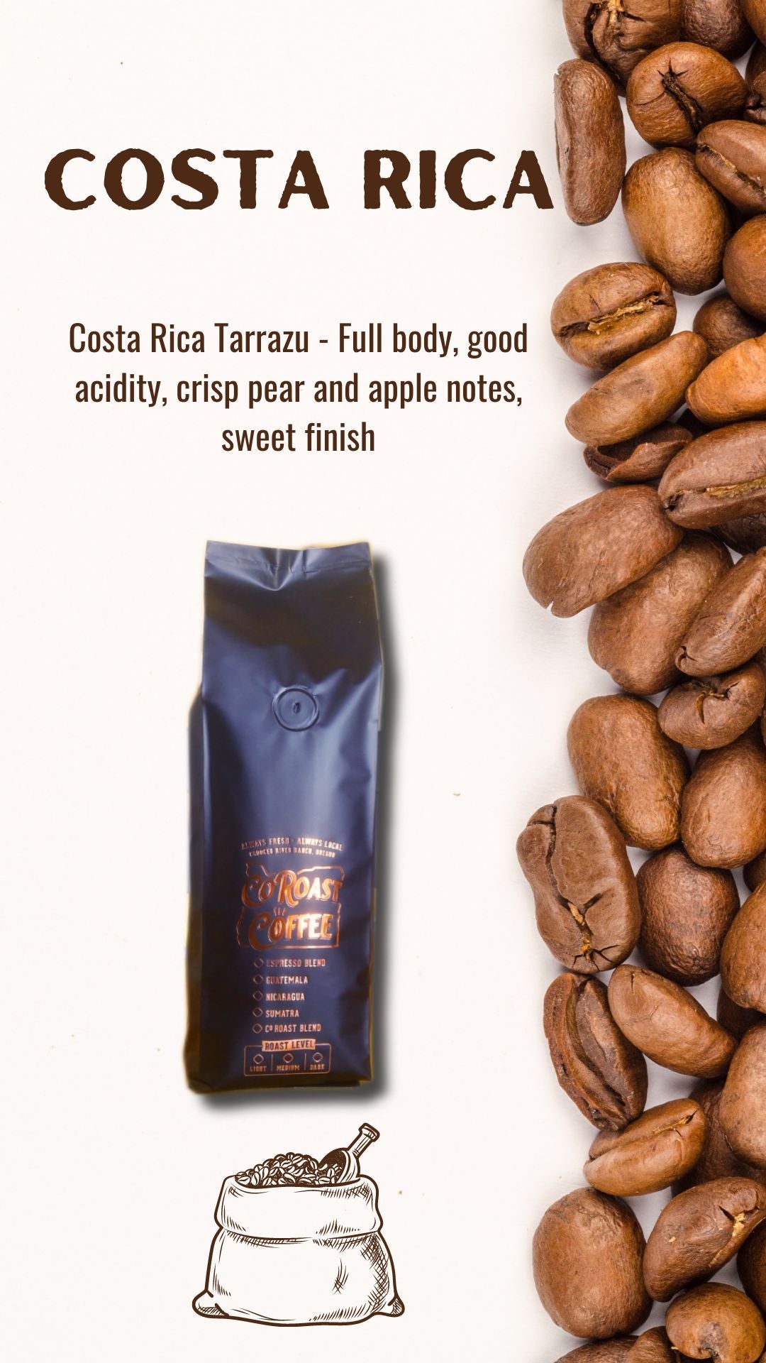 1 lb. Whole Bean Coffee- Free Shipping!