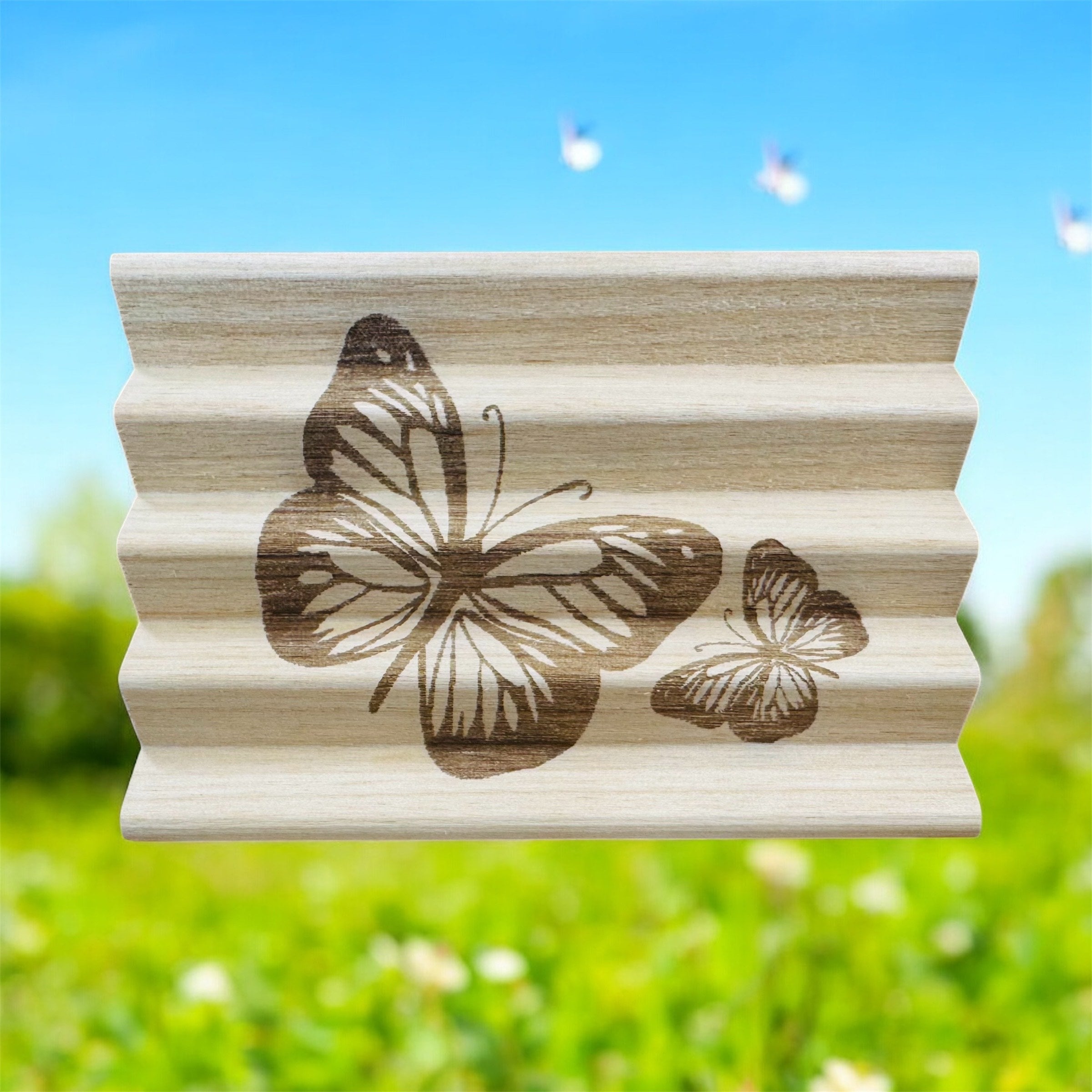 Premium Top Image Soap Dish