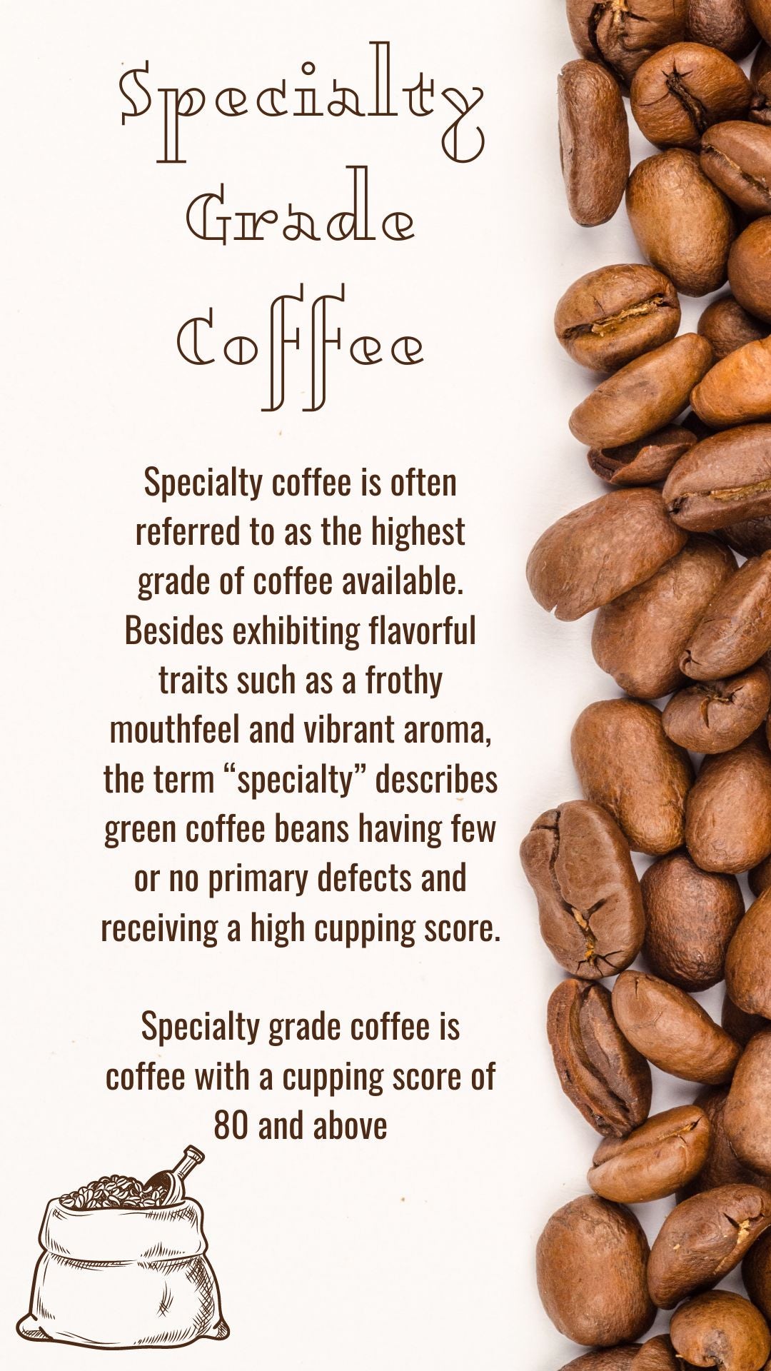 4 Pounds Whole Bean Coffee- Free Shipping!