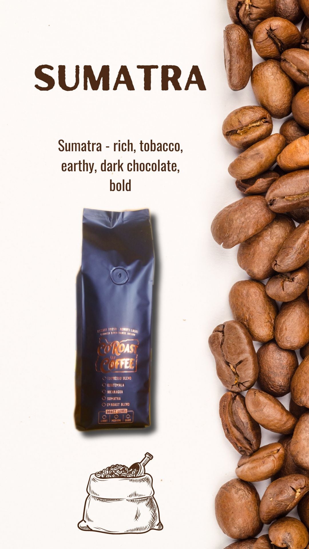 1 lb. Whole Bean Coffee- Free Shipping!